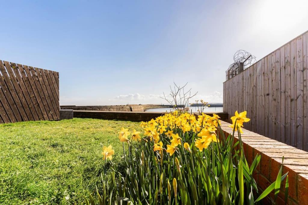 Stunning Ground Floor Hartlepool Marina Apartment Exterior photo